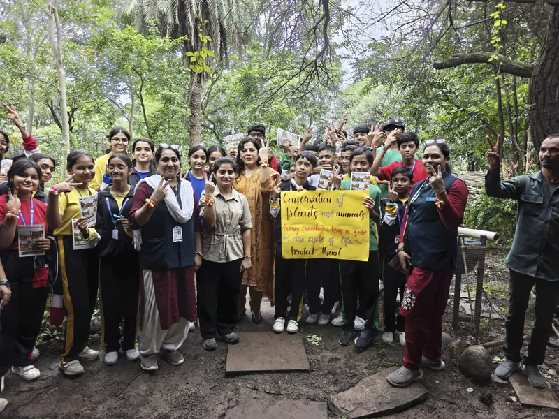 वन विहार बटरफ्लाई रक्षा बंधन समूह का विज्ञप्ति चित्र
